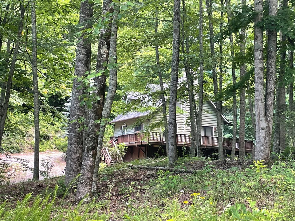 View from property across creek