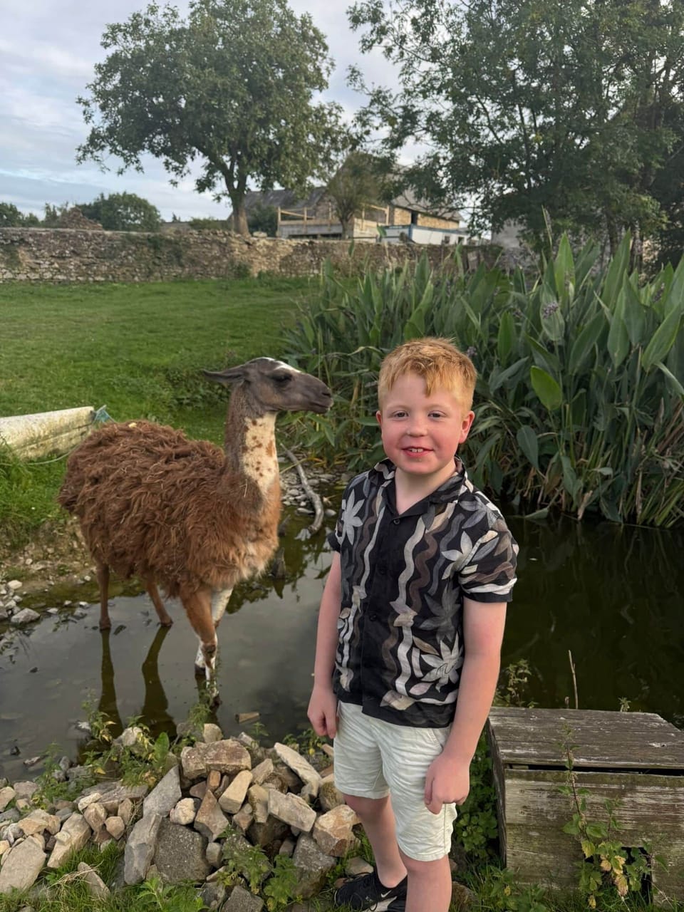 holidays-normandy-guest-meeting-llama.jpg