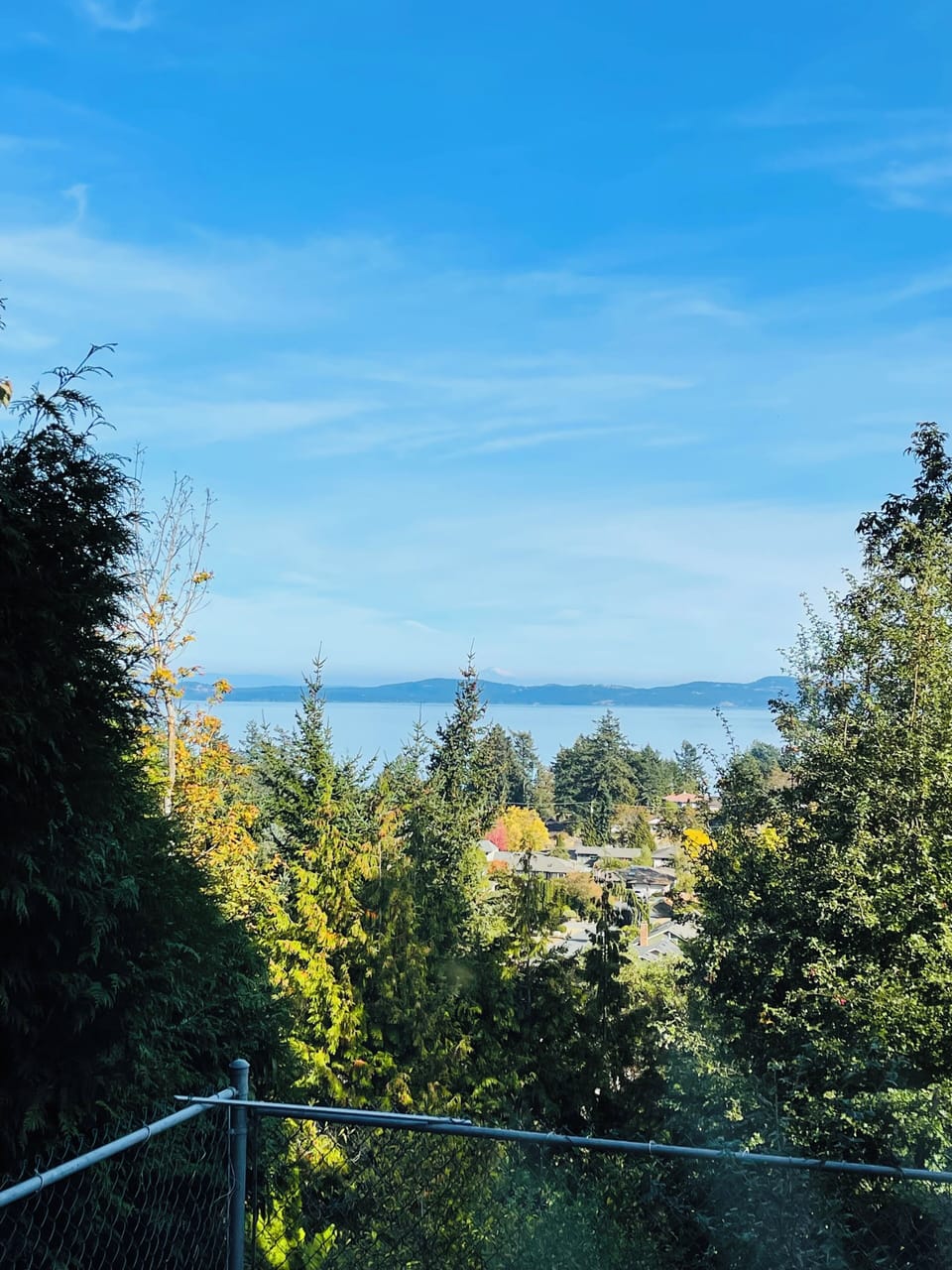 View from property