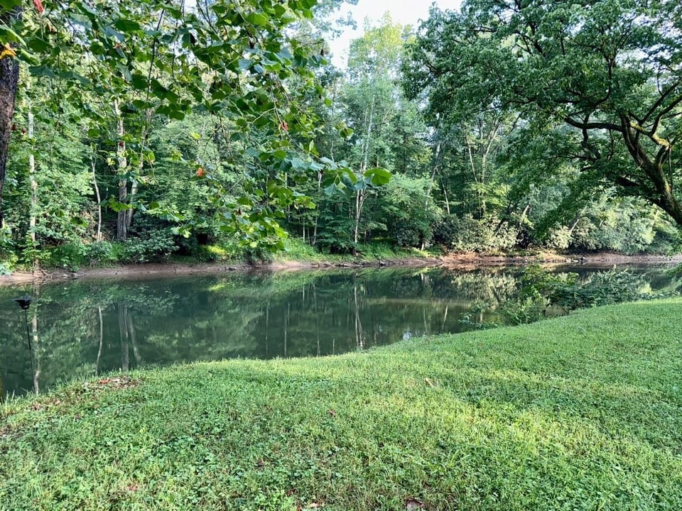 More river frontage that comes with property.