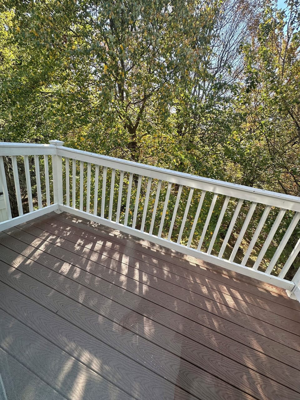 One of the balconies (each of the bedrooms has one)
