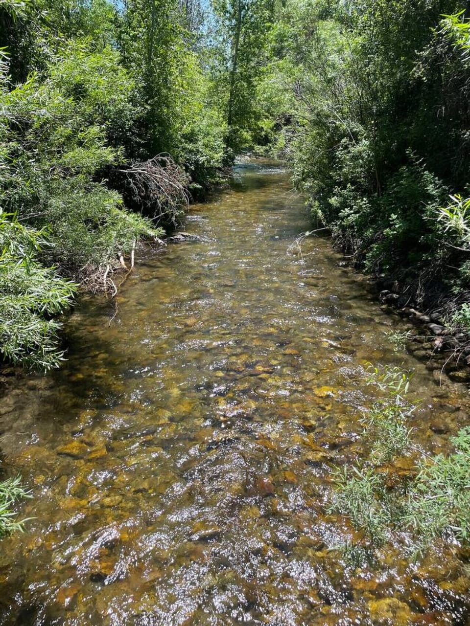 Peaceful Creek Nearby