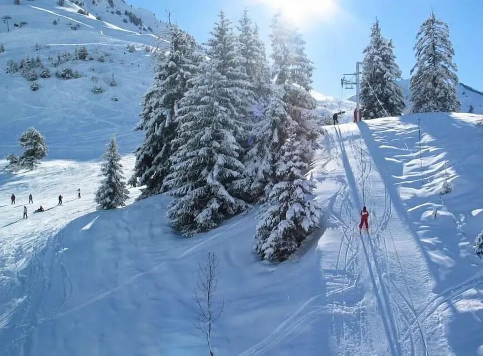 Snow and ski sports