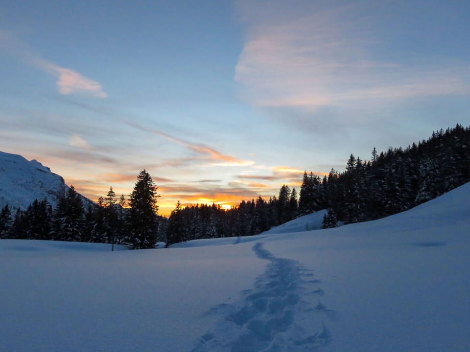Sky, Blue, Winter, Branch, Nature, Snow, Sunrise, Sun, Terrain, Wilderness
