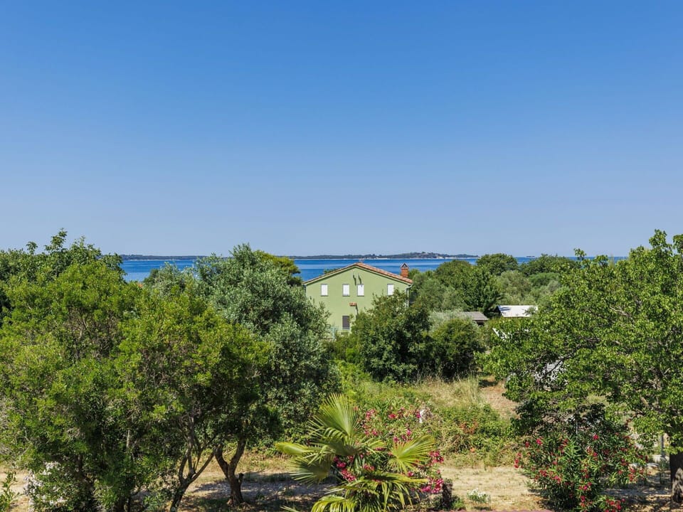 Blue, Green, Vegetation, Landscape, Plant Community, Sea, Ocean, Coast, Bay