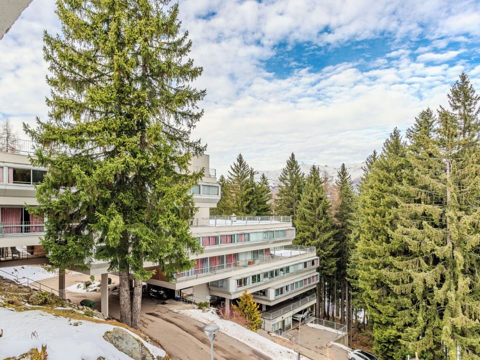 Apartment, Larch, Evergreen, Pine Family, Balcony