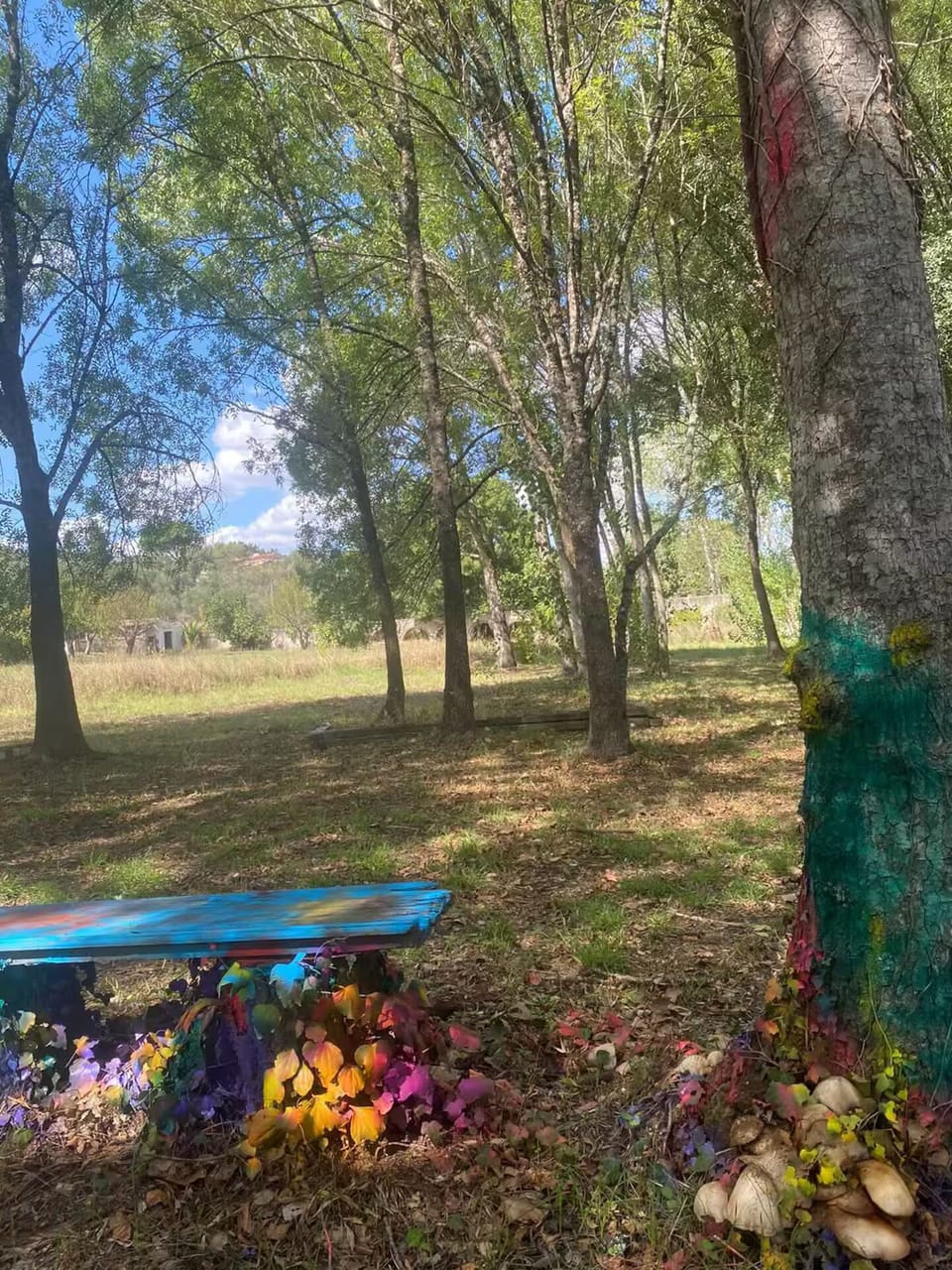 Property grounds