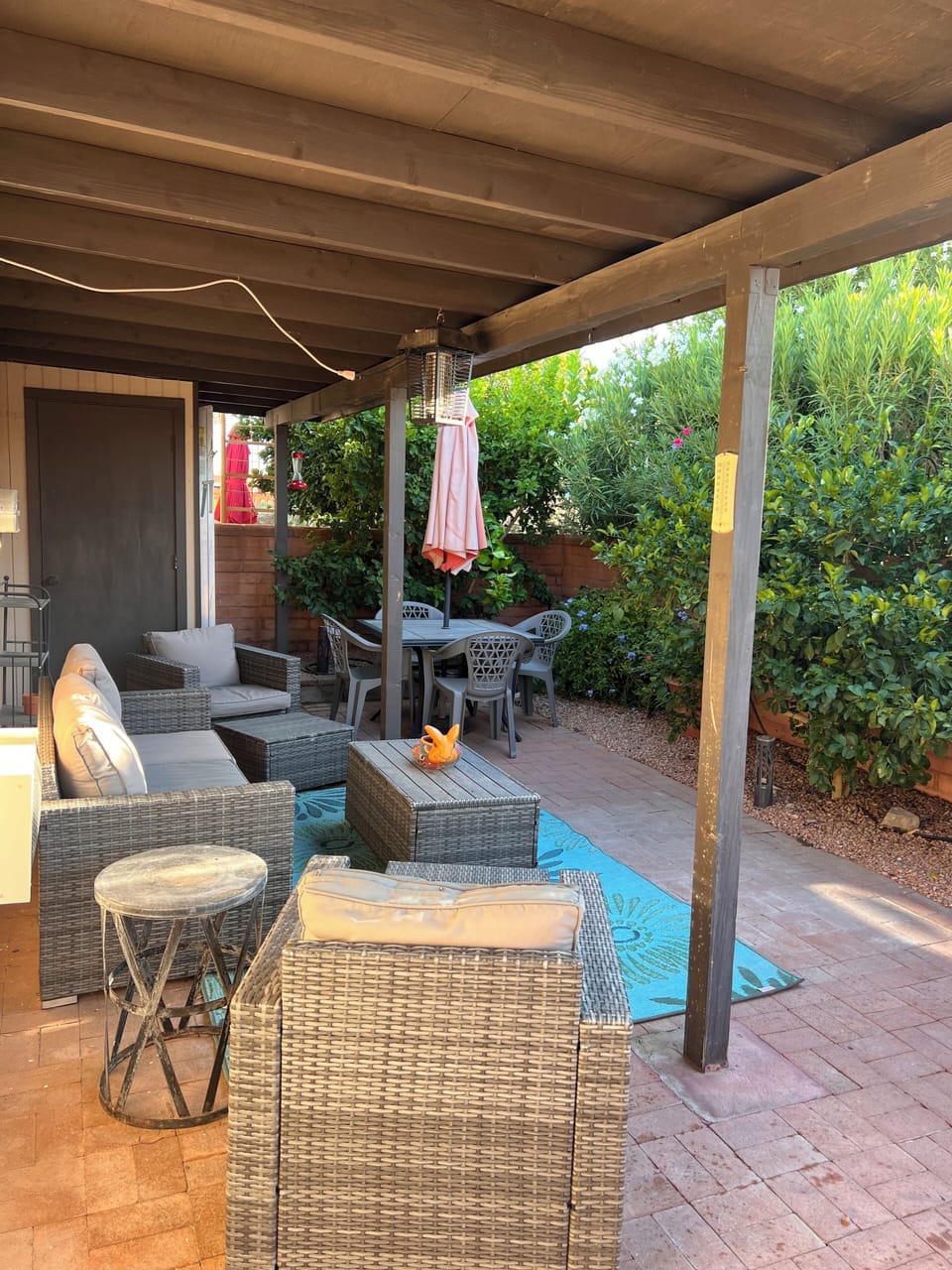 Backyard with Citrus trees