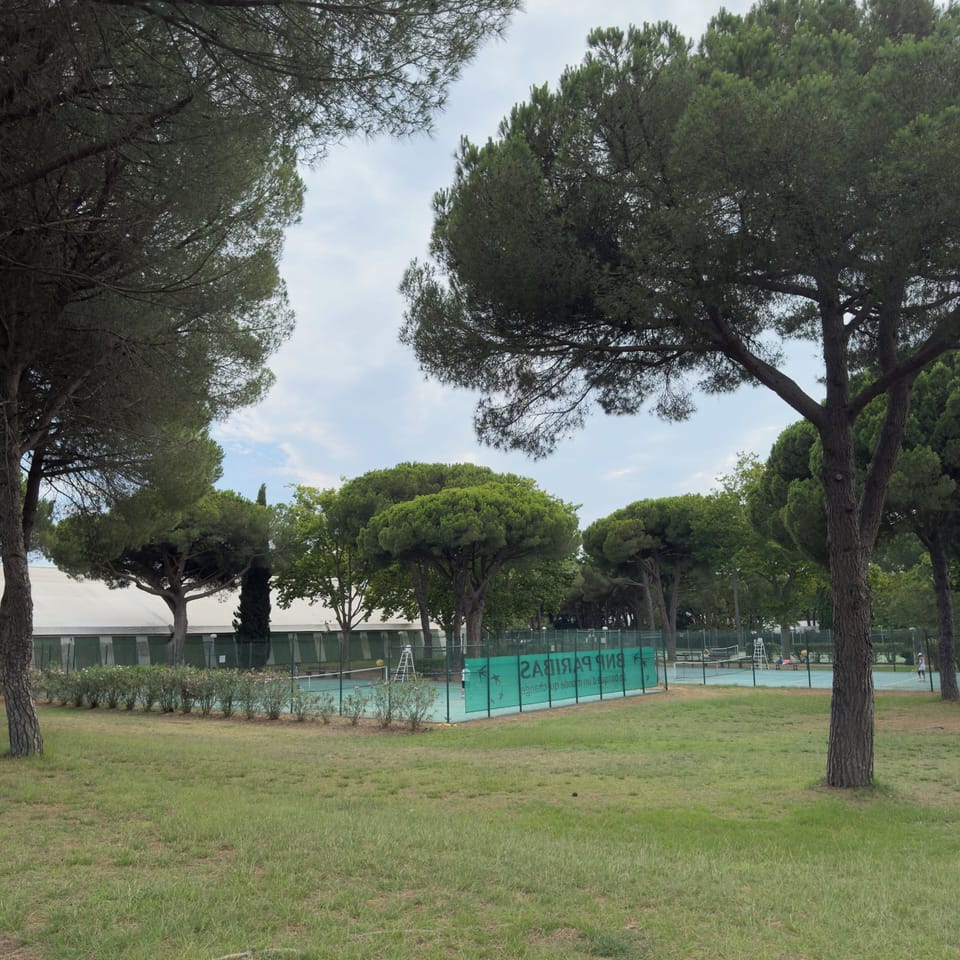 Sport court