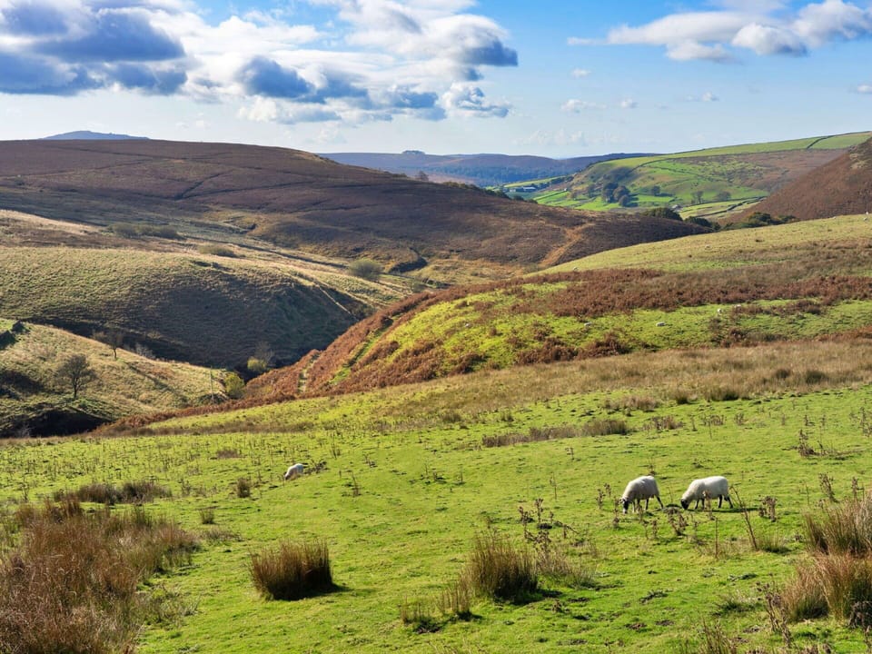 Mountainous Landforms, Hill, Grass, Green, Grassland, Natural Landscape, Ecoregion, Vegetation, Cloud, Highland