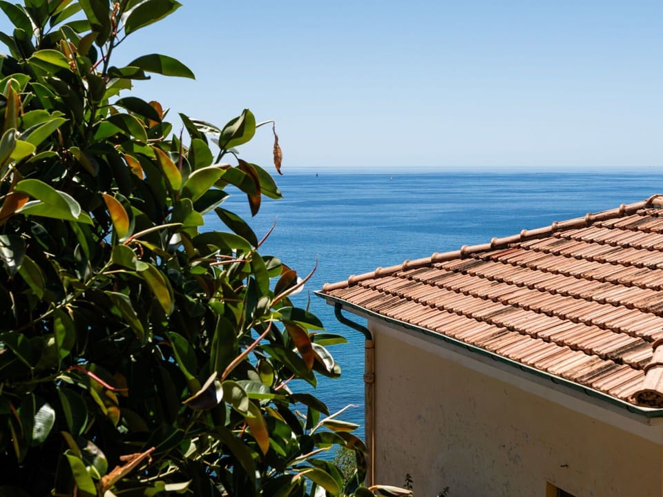 Sky, Blue, Daytime, Body Of Water, Horizon, Sea, Ocean, Coastal And Oceanic Landforms, Coast, Morning