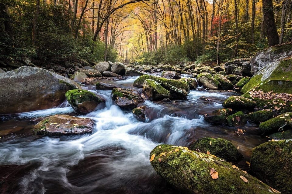 Smoky Mountain Waterfalls
