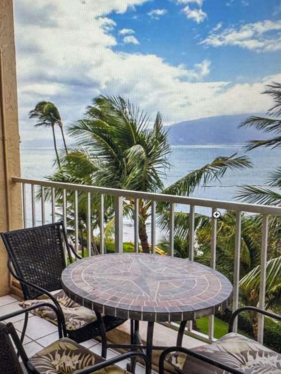 Front row seat to whale watching 