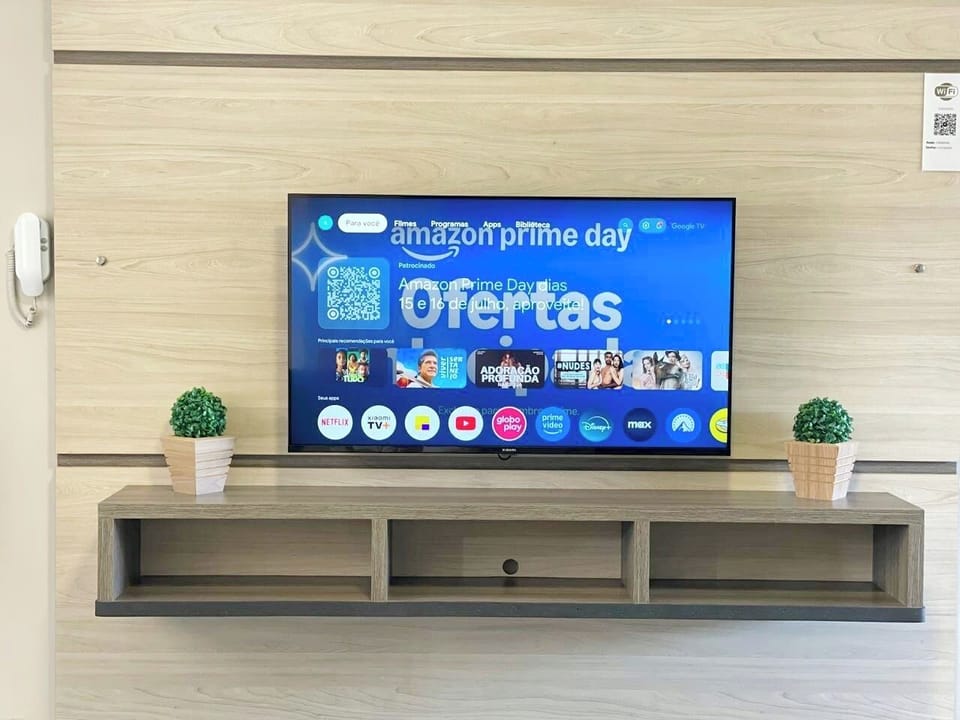 Television