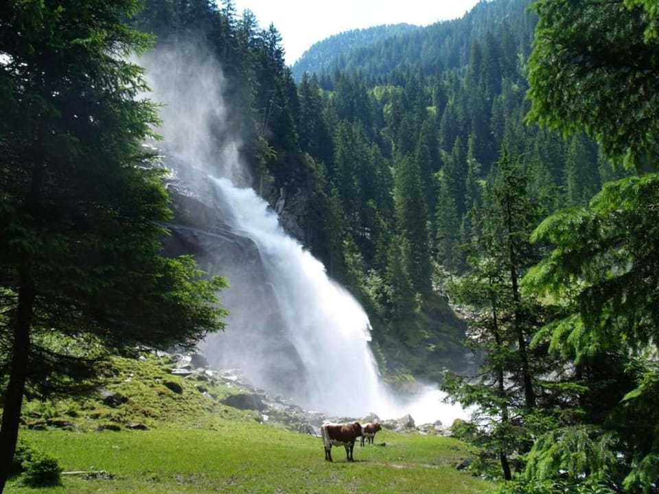Surroundings [summer] (1-5 km)