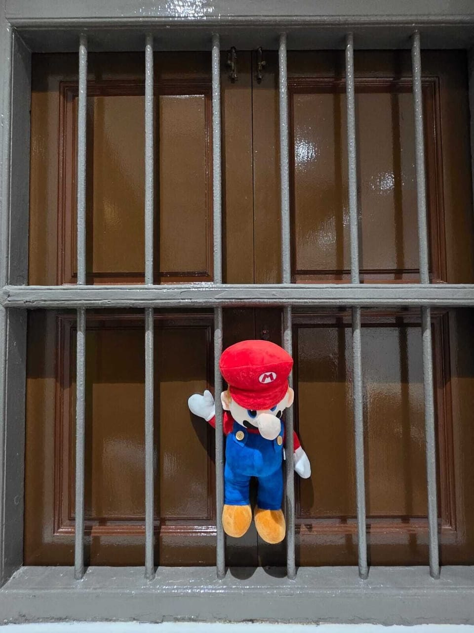 Mario in Jail