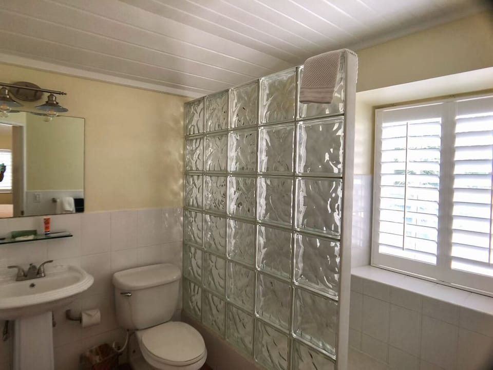 Rinse off in a light-filled shower behind elegant glass blocks.