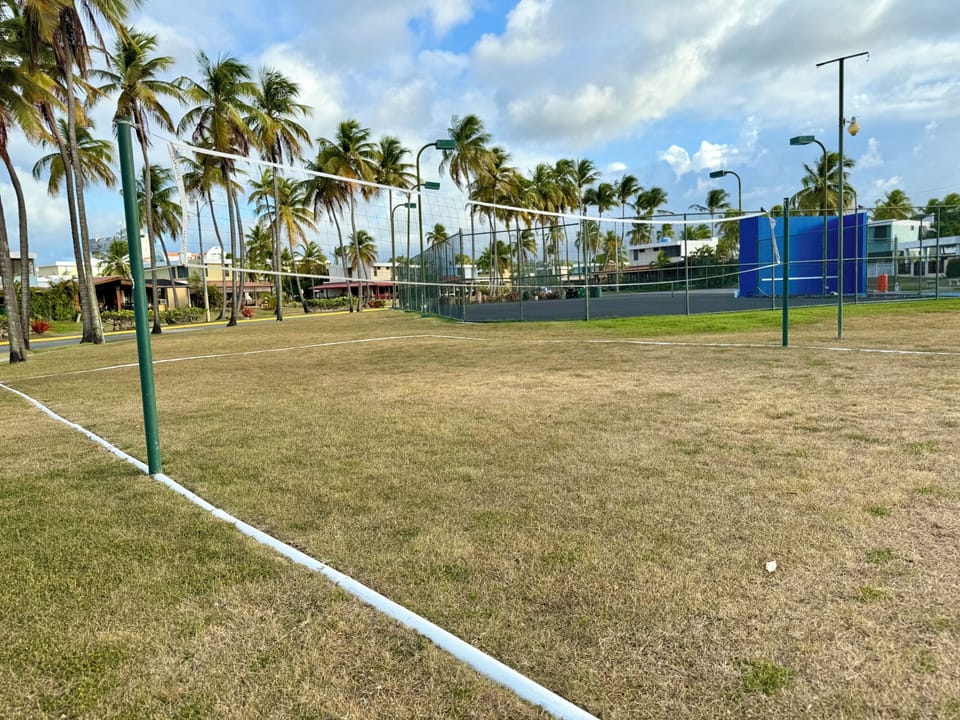 Sport court