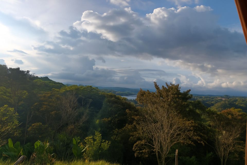 View from property
