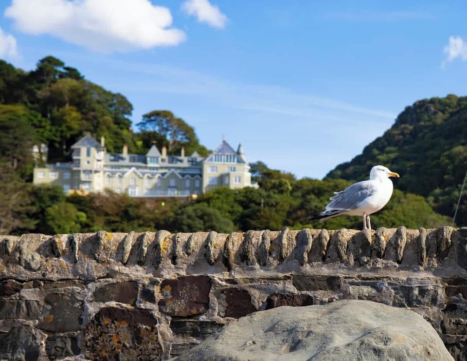 Stroll down from Tors Park to Lynmouth and soak in breathtaking views, lush greenery, and the fresh coastal air on this scenic walk.