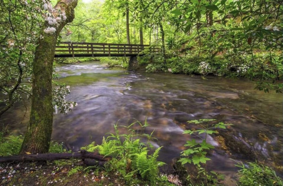 Lil Bear's Den is along the Little Pigeon River