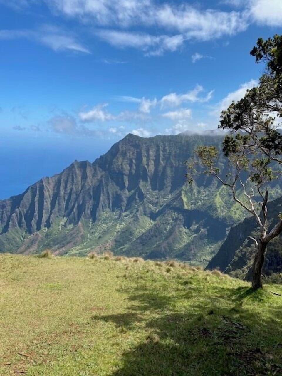 Enjoy the views from Koke'e, overlooking the majestic Kalalau Valley.