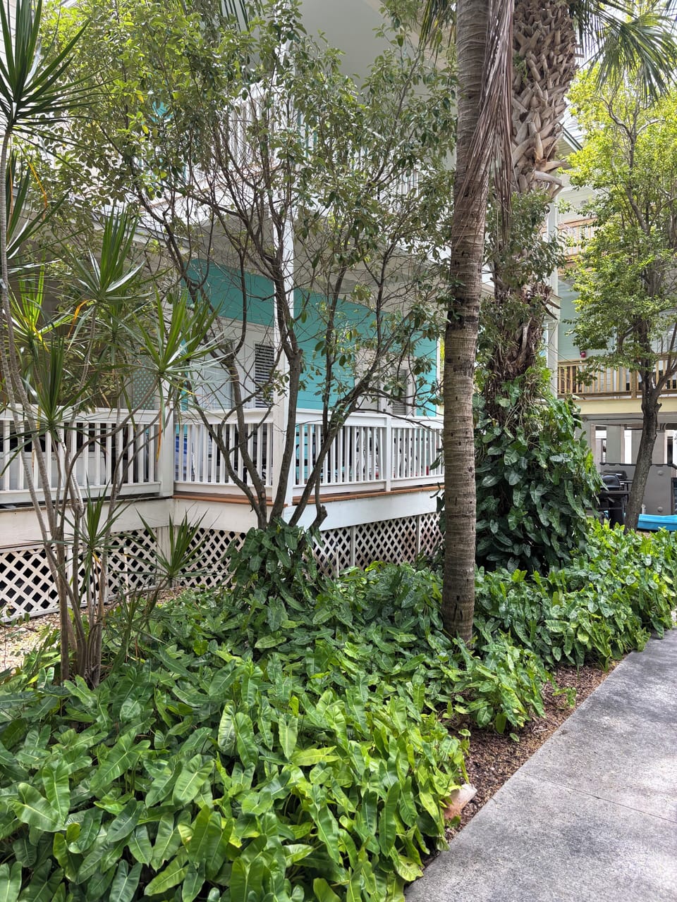 Property grounds