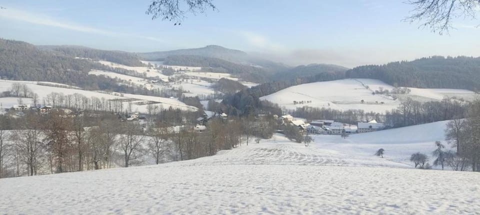 Miscellaneous
