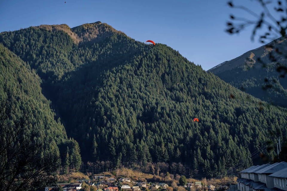 Lush green slopes dotted with adventure above town.