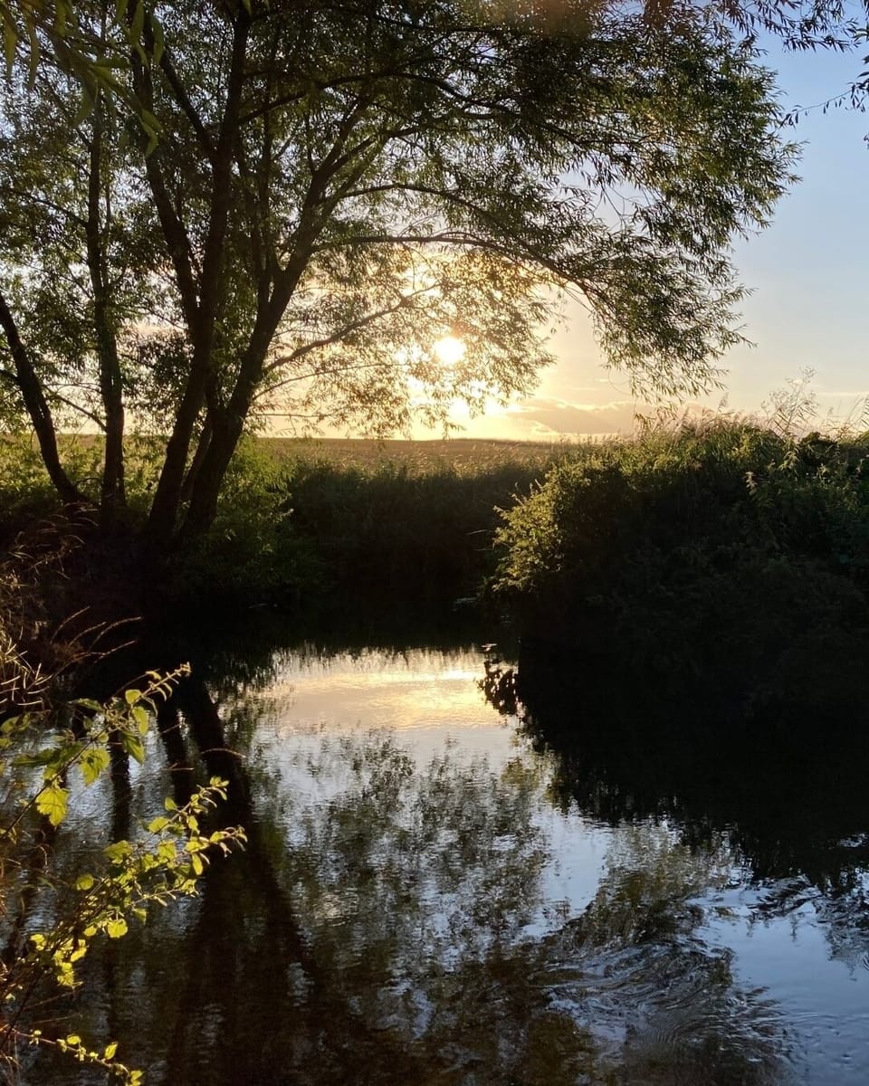Nature