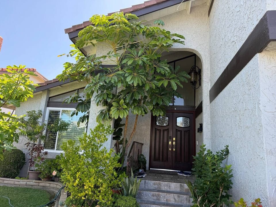 Front door