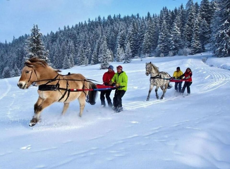Snow and ski sports