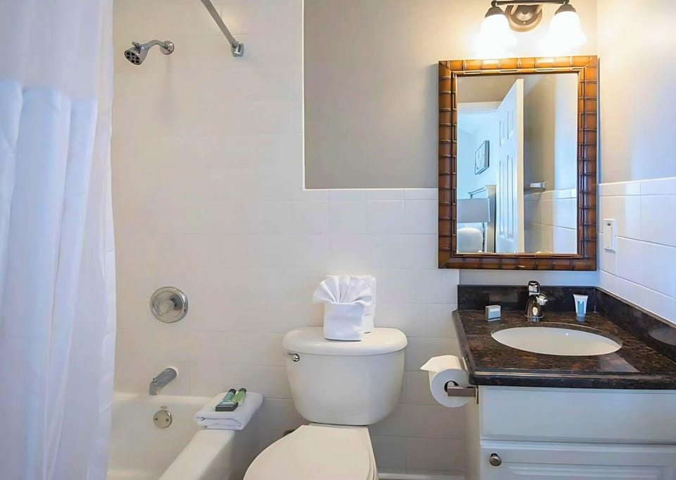 Start the day with a sleek vanity and spa-bright lighting.