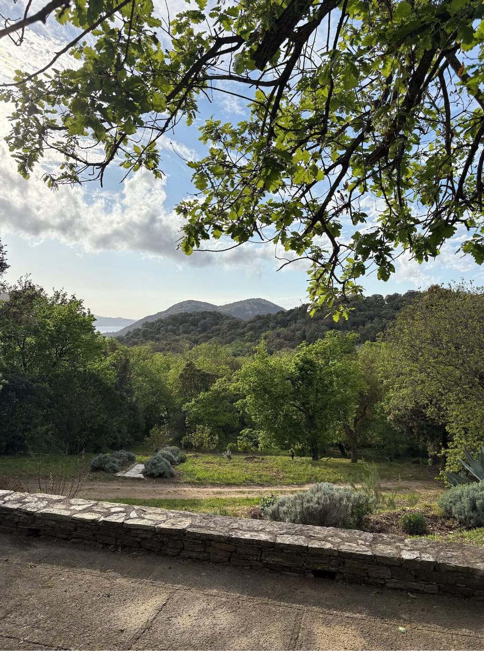 View from property
