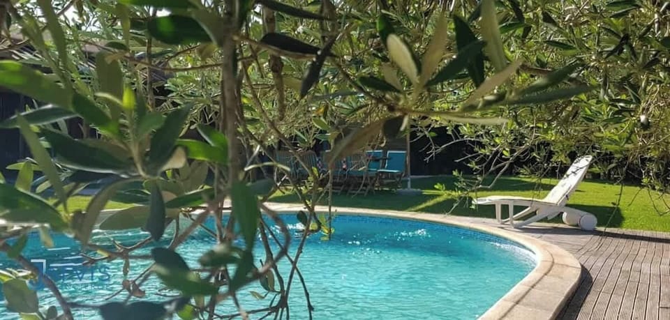 Détail intime et poétique : la piscine vue à travers les branches d’un olivier, pour souligner la connexion totale entre l’eau, la terre et la lumière.