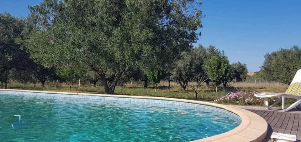 Une piscine au cœur d’un verger d’oliviers, loin du bruit et de la foule. L’endroit idéal pour une baignade paisible et rafraîchissante à toute heure de la journée.