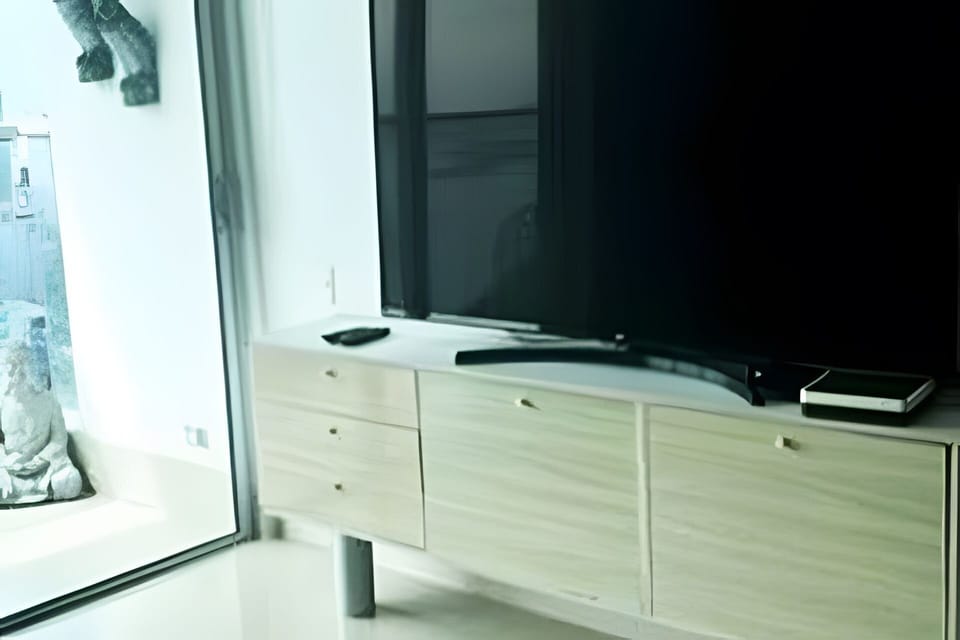 Television