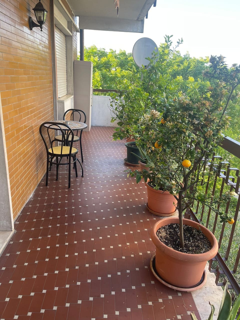 Terrace/patio