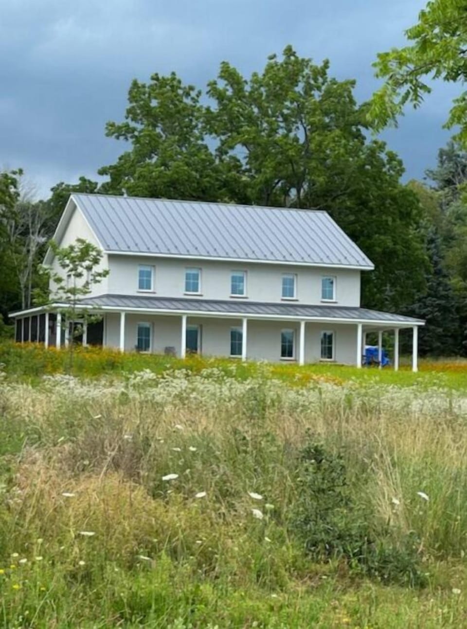 Bellwether on Main; wildflower meadow in-progress