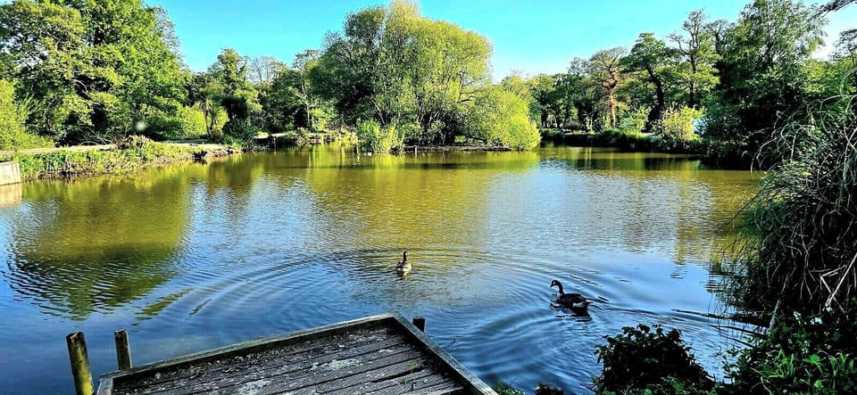 3 fishing lakes on sister site, not included in membership 