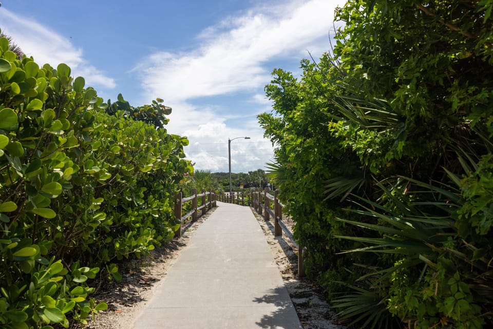 Stroll down this lush, tropical pathway leading straight to your beach stay. Surrounded by greenery and ocean breezes, it's the perfect start to a relaxing day by the shore.