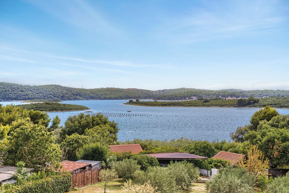 Balcony view over the Adriatic sea and olive groves — peaceful and open.