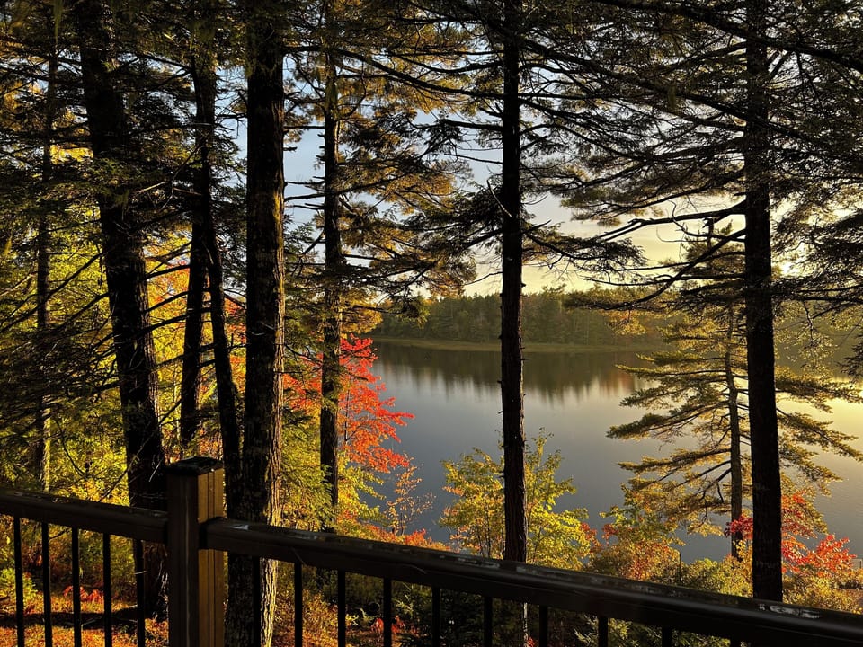 Fall colours