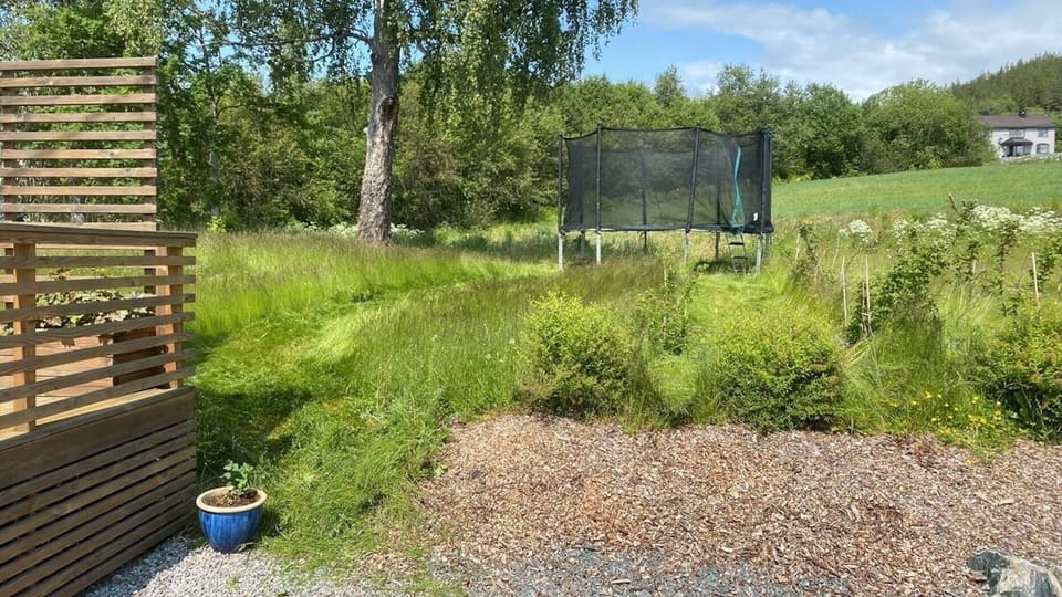 Trampoline