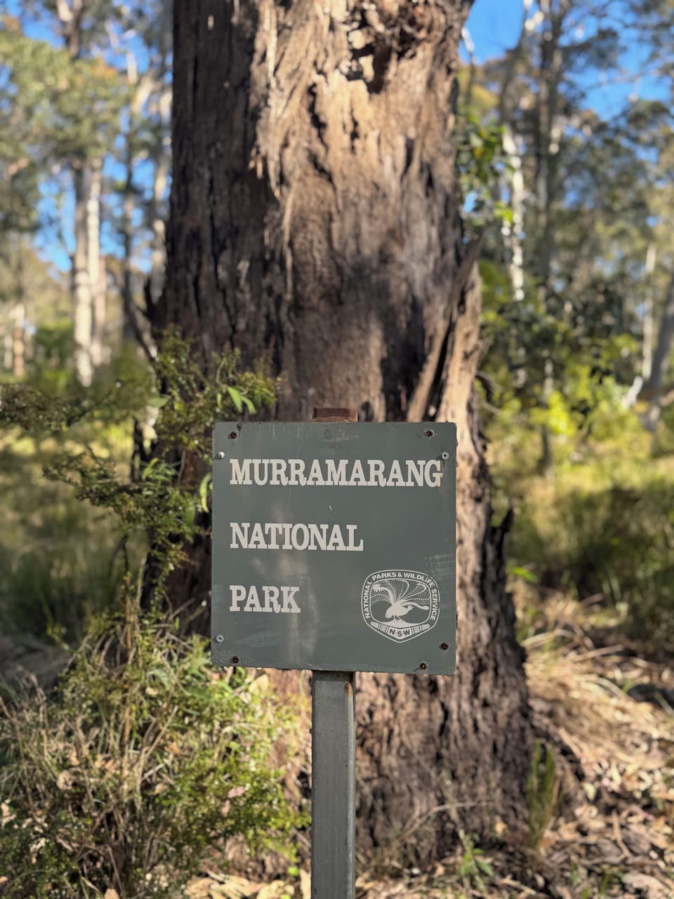 Walking trails start right across the road.