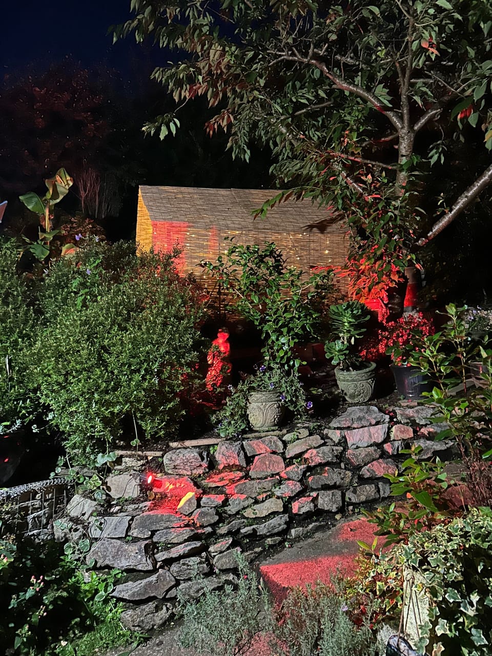 Image 10
