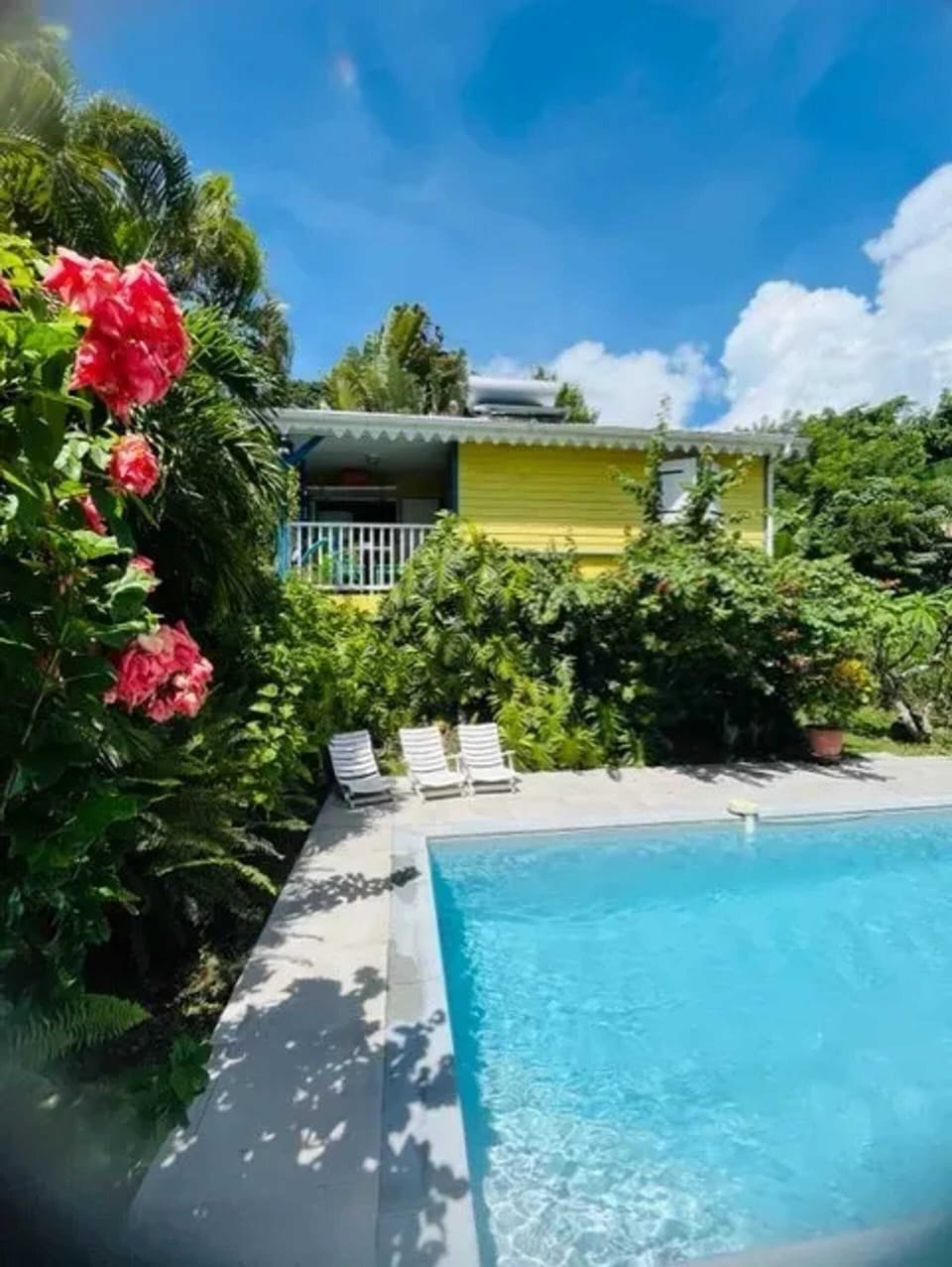 Swimming pool view