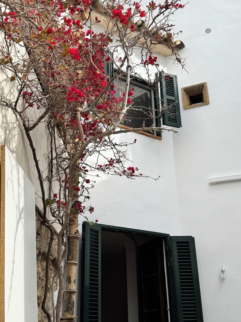 Exterior detail