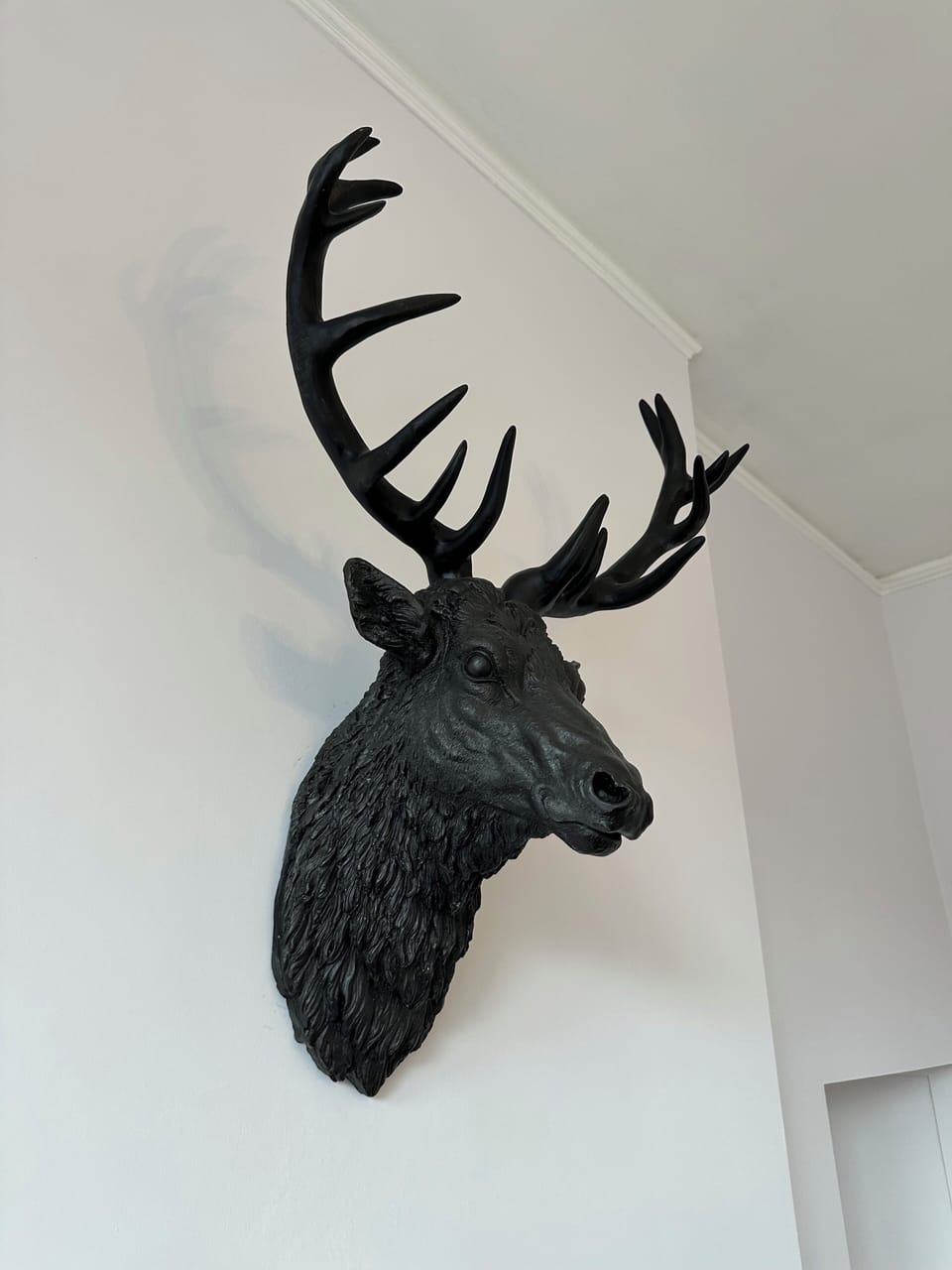 Large stags head
