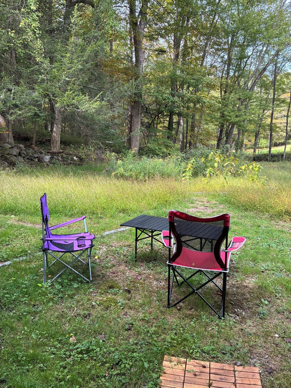 Private backyard overlooking trees and a creek